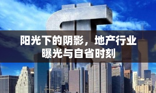 陽(yáng)光下的陰影，地產(chǎn)行業(yè)曝光與自省時(shí)刻