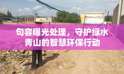 句容曝光處理，守護(hù)綠水青山的智慧環(huán)保行動(dòng)