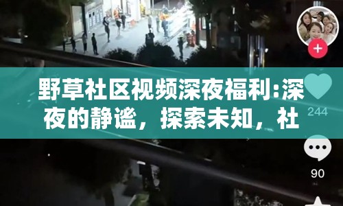野草社區(qū)視頻深夜福利:深夜的靜謐，探索未知，社區(qū)視頻中的福利探索