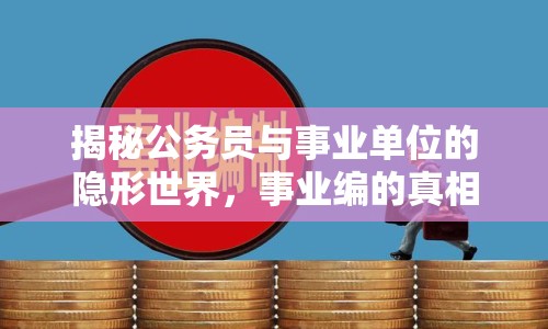 揭秘公務(wù)員與事業(yè)單位的隱形世界，事業(yè)編的真相曝光