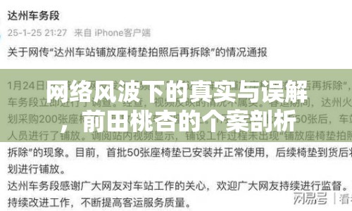 網(wǎng)絡風波下的真實與誤解，前田桃杏的個案剖析
