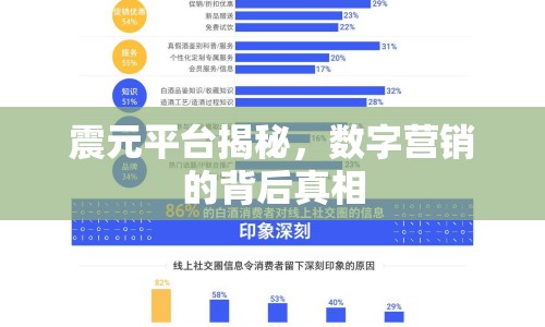 震元平臺(tái)揭秘，數(shù)字營(yíng)銷的背后真相