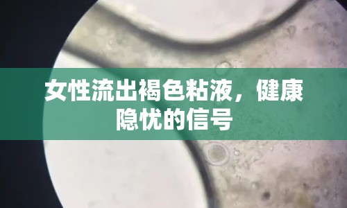 女性流出褐色粘液，健康隱憂的信號
