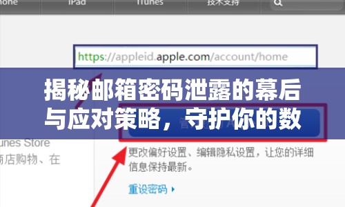 揭秘郵箱密碼泄露的幕后與應對策略，守護你的數(shù)字安全
