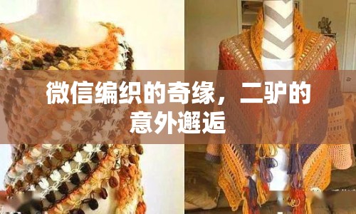 微信編織的奇緣，二驢的意外邂逅