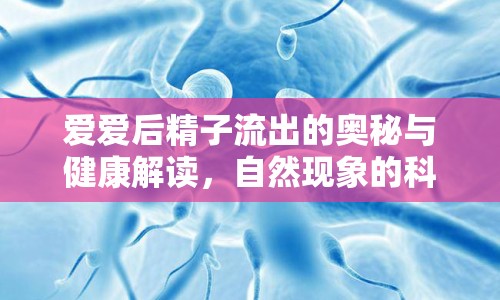 愛愛后精子流出的奧秘與健康解讀，自然現(xiàn)象的科學(xué)與健康影響