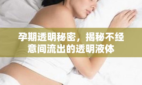 孕期透明秘密，揭秘不經(jīng)意間流出的透明液體