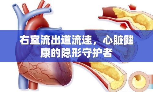 右室流出道流速，心臟健康的隱形守護者