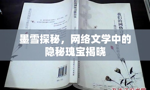 墨雪探秘，網(wǎng)絡(luò)文學(xué)中的隱秘瑰寶揭曉