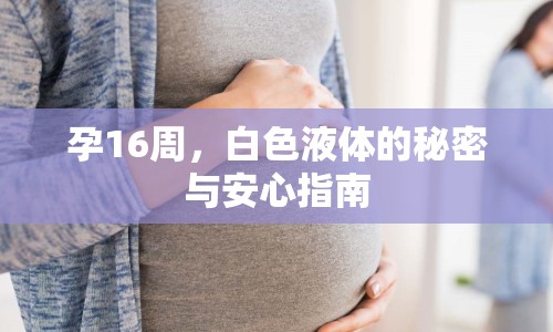 孕16周，白色液體的秘密與安心指南