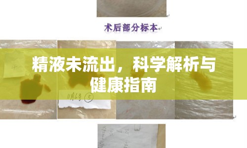 精液未流出，科學(xué)解析與健康指南