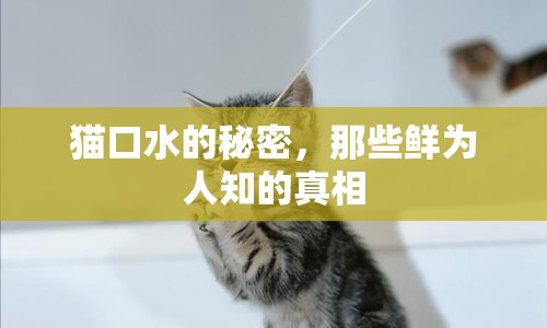 貓口水的秘密，那些鮮為人知的真相