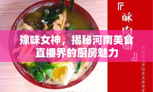 豫味女神，揭秘河南美食直播界的廚房魅力