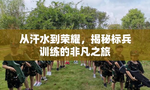 從汗水到榮耀，揭秘標兵訓練的非凡之旅