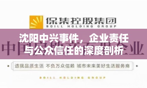 沈陽(yáng)中興事件，企業(yè)責(zé)任與公眾信任的深度剖析