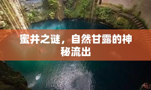 蜜井之謎，自然甘露的神秘流出