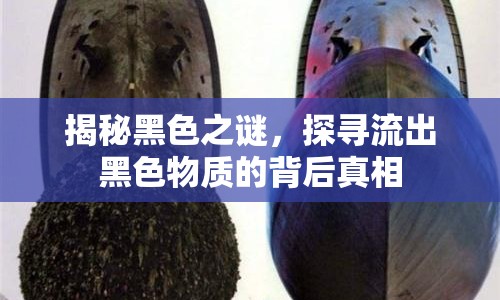 揭秘黑色之謎，探尋流出黑色物質的背后真相