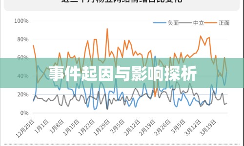 事件起因與影響探析