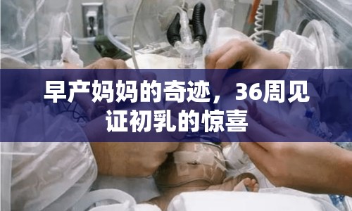 早產(chǎn)媽媽的奇跡，36周見證初乳的驚喜