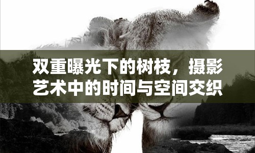 雙重曝光下的樹枝，攝影藝術(shù)中的時(shí)間與空間交織