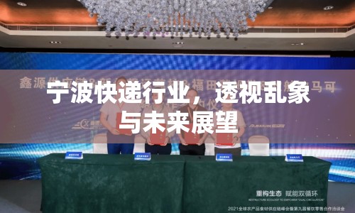 寧波快遞行業(yè)，透視亂象與未來展望