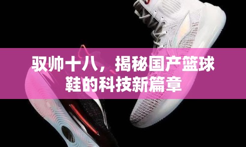 馭帥十八，揭秘國(guó)產(chǎn)籃球鞋的科技新篇章