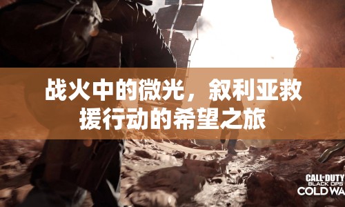 戰(zhàn)火中的微光，敘利亞救援行動(dòng)的希望之旅