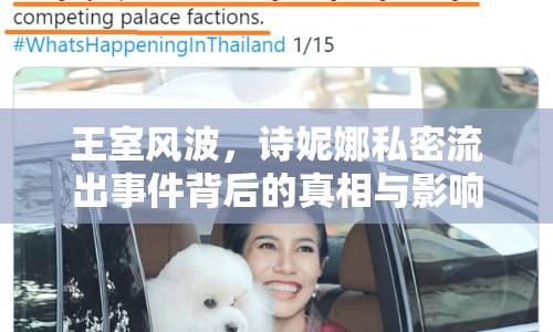 王室風(fēng)波，詩妮娜私密流出事件背后的真相與影響