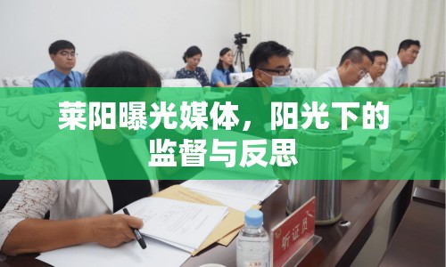 萊陽(yáng)曝光媒體，陽(yáng)光下的監(jiān)督與反思