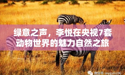 綠意之聲，李悅在央視7套動物世界的魅力自然之旅