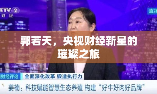 郭若天，央視財(cái)經(jīng)新星的璀璨之旅