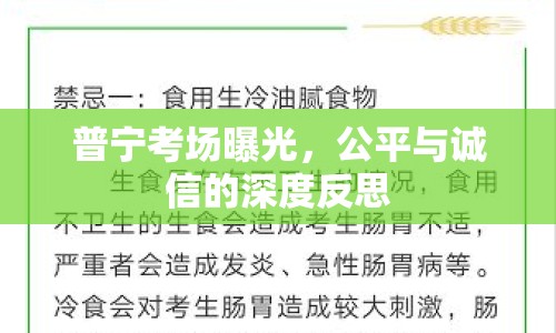 普寧考場曝光，公平與誠信的深度反思