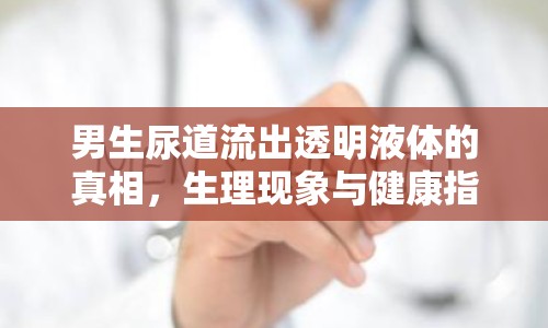 男生尿道流出透明液體的真相，生理現(xiàn)象與健康指南