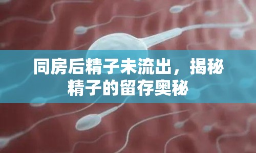 同房后精子未流出，揭秘精子的留存奧秘