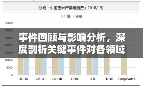 事件回顧與影響分析，深度剖析關(guān)鍵事件對(duì)各領(lǐng)域的影響