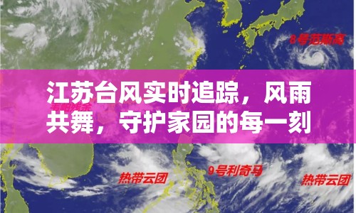 江蘇臺風(fēng)實時追蹤，風(fēng)雨共舞，守護家園的每一刻