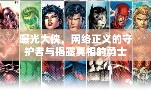 曝光大俠，網(wǎng)絡(luò)正義的守護者與揭露真相的勇士