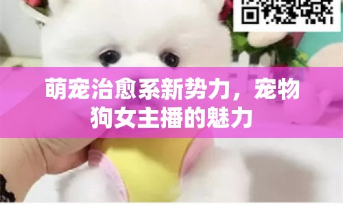 萌寵治愈系新勢力，寵物狗女主播的魅力
