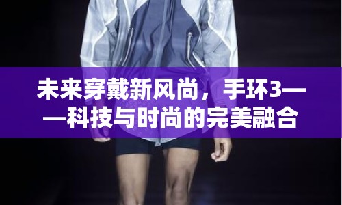 未來穿戴新風(fēng)尚，手環(huán)3——科技與時尚的完美融合