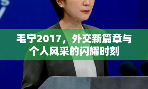 毛寧2017，外交新篇章與個(gè)人風(fēng)采的閃耀時(shí)刻