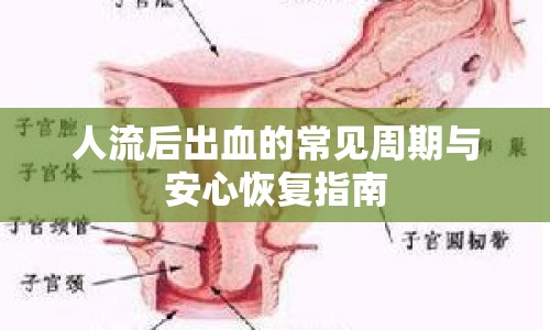人流后出血的常見周期與安心恢復(fù)指南