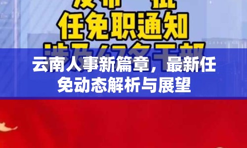 云南人事新篇章，最新任免動(dòng)態(tài)解析與展望