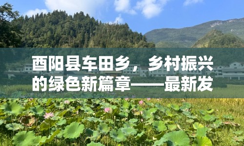 酉陽縣車田鄉(xiāng)，鄉(xiāng)村振興的綠色新篇章——最新發(fā)展動態(tài)與未來展望