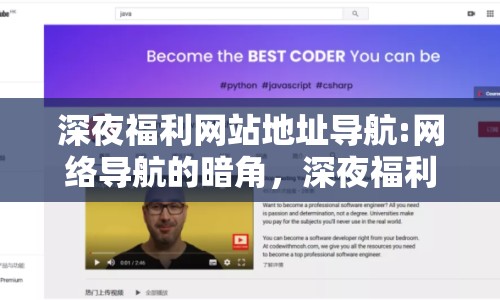 深夜福利網(wǎng)站地址導(dǎo)航:網(wǎng)絡(luò)導(dǎo)航的暗角，深夜福利網(wǎng)站地址的灰色邊緣