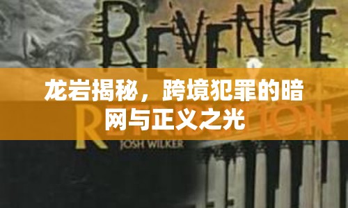 龍巖揭秘，跨境犯罪的暗網(wǎng)與正義之光