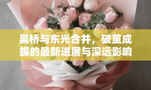 吳橋與東光合并，破繭成蝶的最新進(jìn)展與深遠(yuǎn)影響