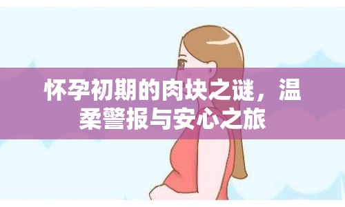 懷孕初期的肉塊之謎，溫柔警報(bào)與安心之旅