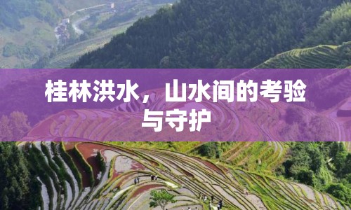 桂林洪水，山水間的考驗與守護