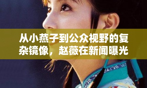從小燕子到公眾視野的復(fù)雜鏡像，趙薇在新聞曝光下的多維度剖析