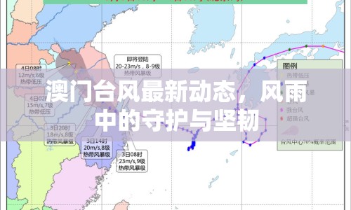 澳門臺(tái)風(fēng)最新動(dòng)態(tài)，風(fēng)雨中的守護(hù)與堅(jiān)韌